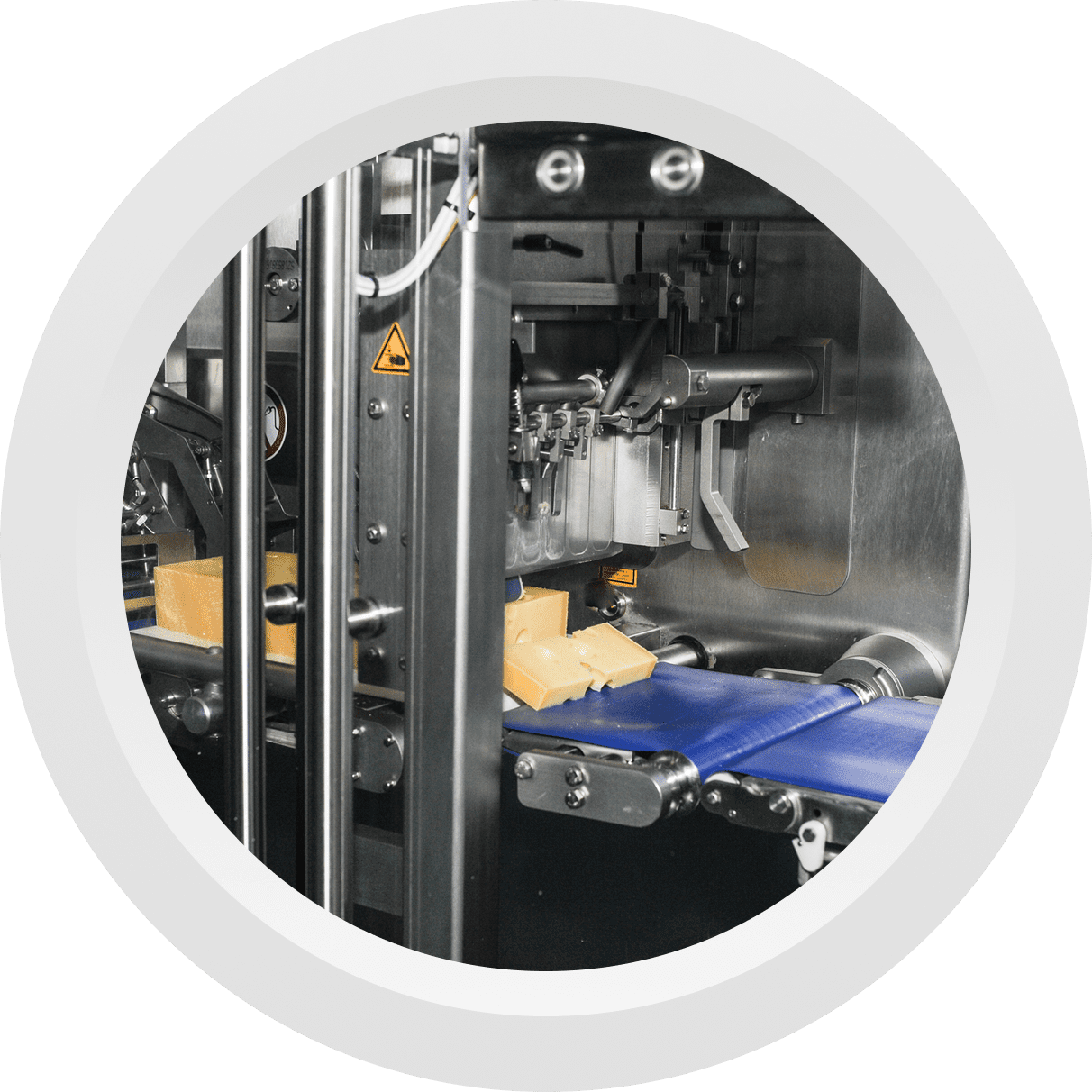 Cheese packaging machine in operation.